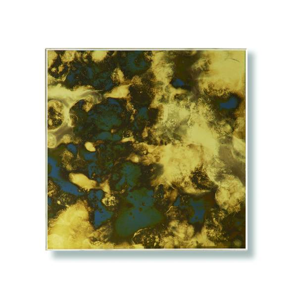 81-BLACK GOLD